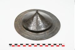 Foto von Bronzephalere (NHMW-PRAE-025079)